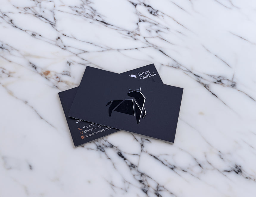 Spot UV Business Cards